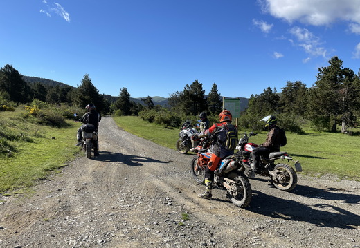 IMG 0265