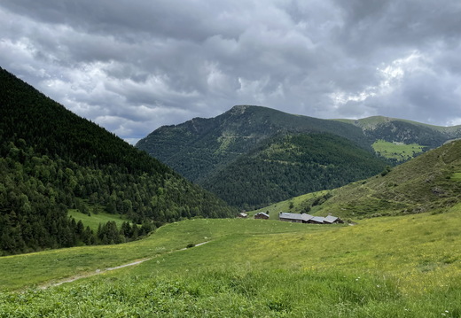 IMG 0425