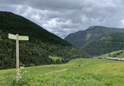 IMG 0426