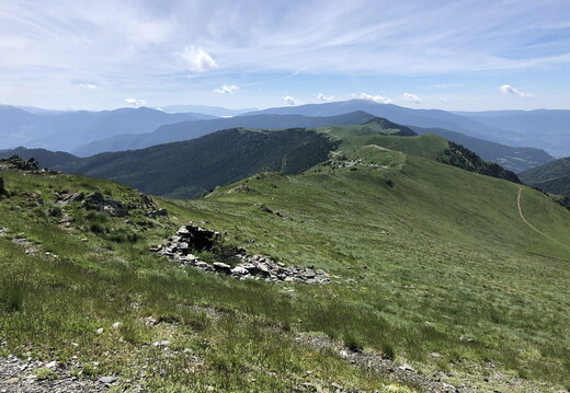 IMG 5573