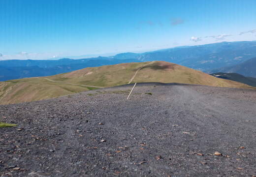 VID 20210622 111222