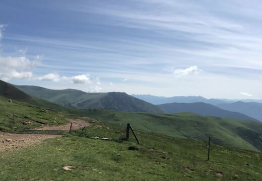 IMG 1333