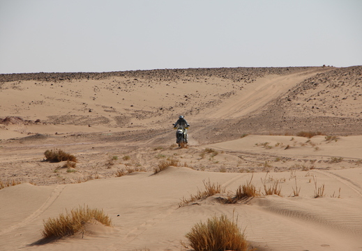 IMG 3615