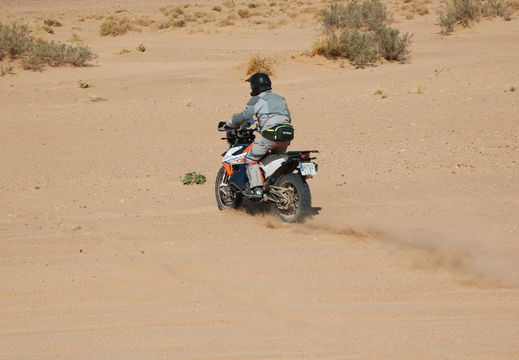 IMG 3612