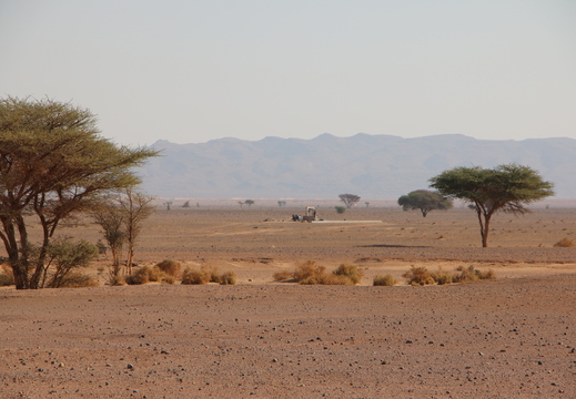 IMG 3557