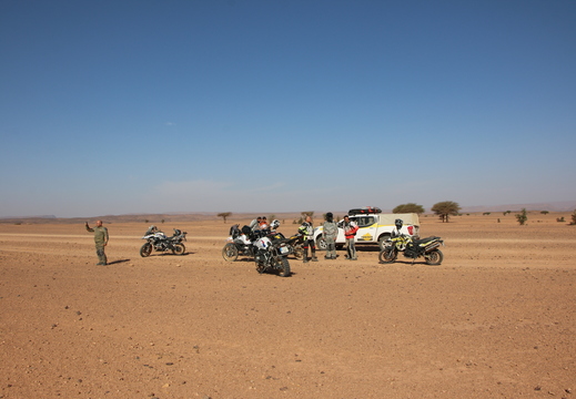 IMG 3554
