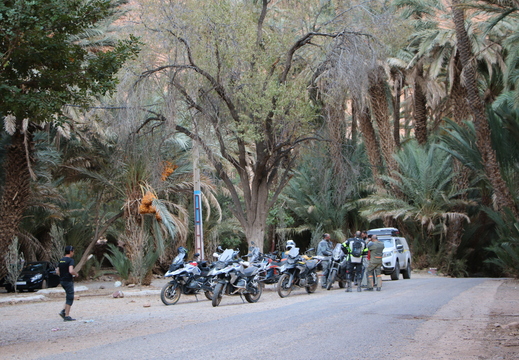 IMG 3835