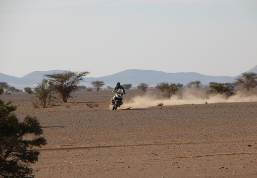 IMG 3773