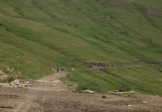 IMG 4994