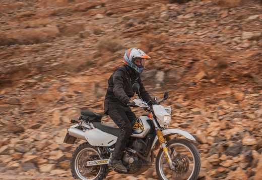 IMG 7422