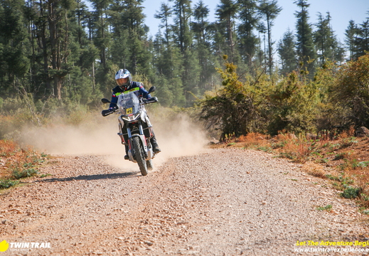 Edits-806