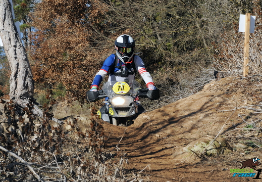 Basella Race